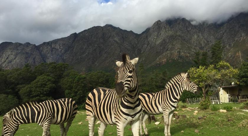 Franschhoek Country Cottages — Hotel in Franschhoek