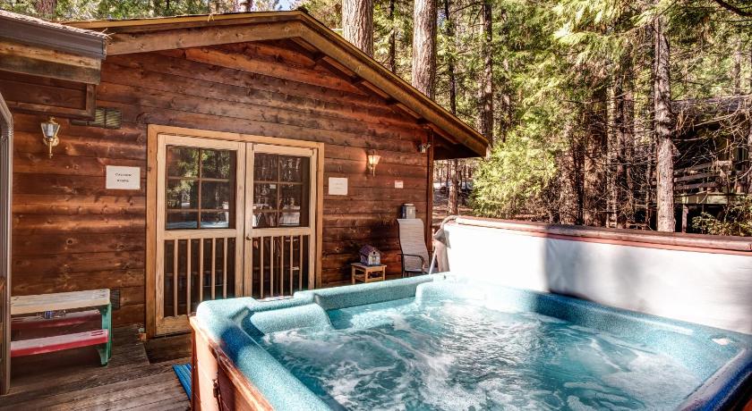 41A Cedar Chalet — Hotel in Wawona (CA)
