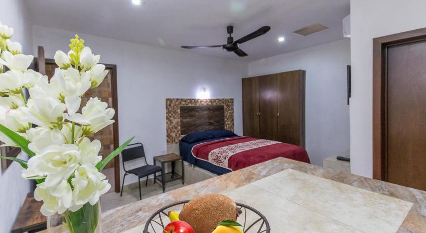 Image of Studio Apartment 0