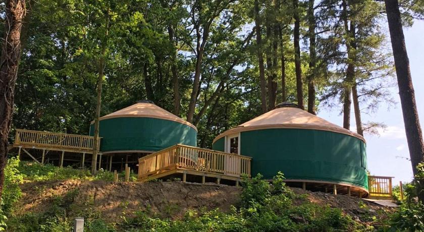 Circle M Camping Resort 16 ft. Yurt 1 photo