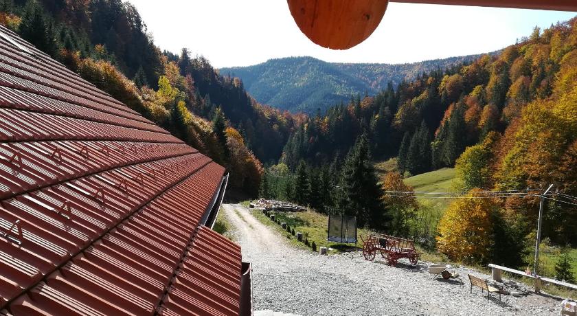 Pensiunea Izbucul Tauz photo