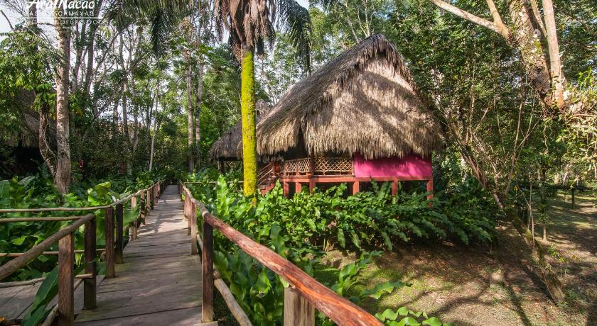 Las Guacamayas Lodge Resort Selva Lacandona Chiapas Mexico In Selva Lacandona Ocosingo Room Deals Photos Reviews Las Guacamayas Lodge Resort Selva Lacandona Chiapas Mexico In Selva Lacandona Ocosingo Room Deals Photos Reviews