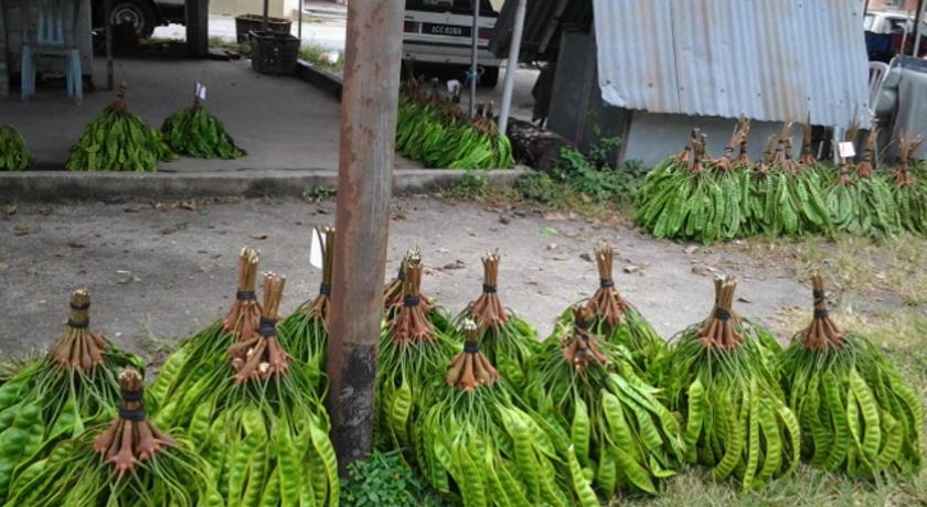 Sungai Alisa Homestay 3-Star Single Room restaurant