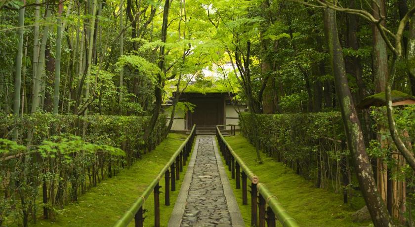 교토 무라사키노 게스트하우스 3성급 숙소 객실