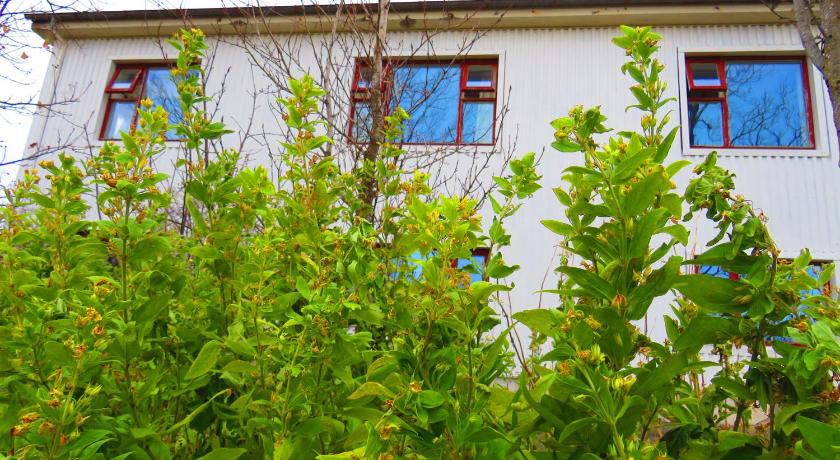 Guesthouse Kalfafellsstadur — Hotel in Hornafjordur