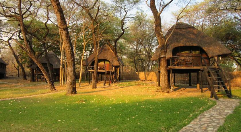 The Tree Lodge at Sikumi — Hotel in Hwange