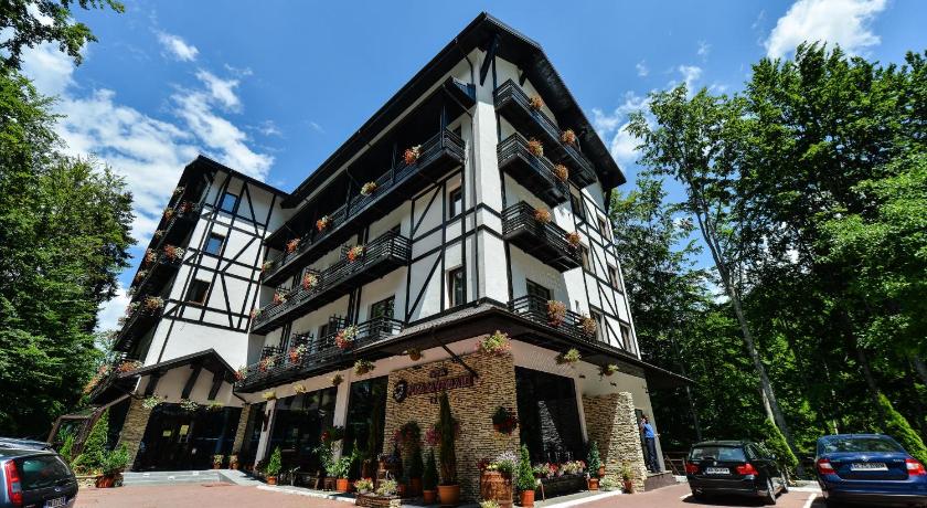 Hotel Posada Vidraru photo