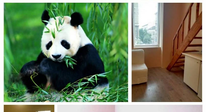 Green Panda Apartments — Hotel in Budapest