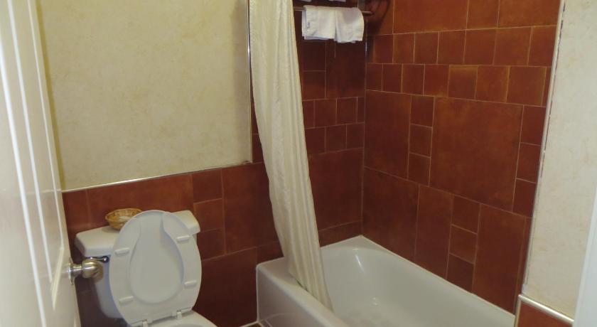 Palace Inn Harwin photo