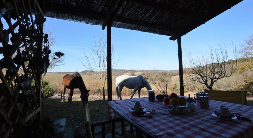Podere Tre Mulini photo