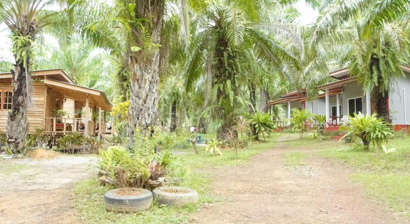 Image of Standard Double Room with Fan 8