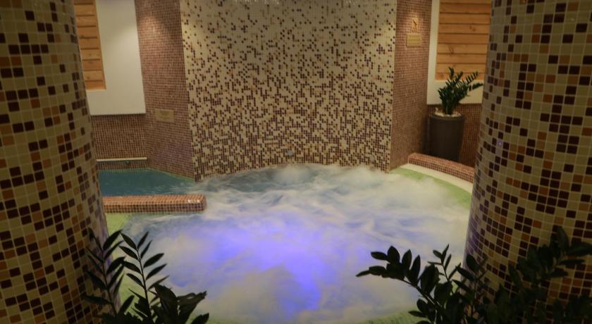 Hotel Muresul Health Spa photo