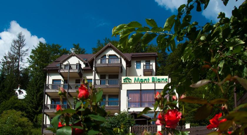 Hotel Mont Blanc photo