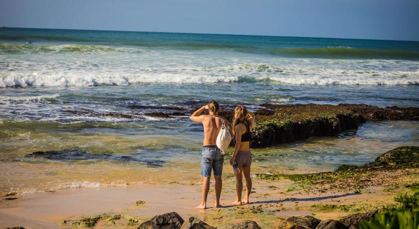 Cocoplant Surf Inn photo