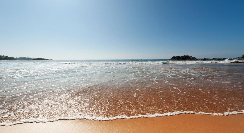 Fantasea photo