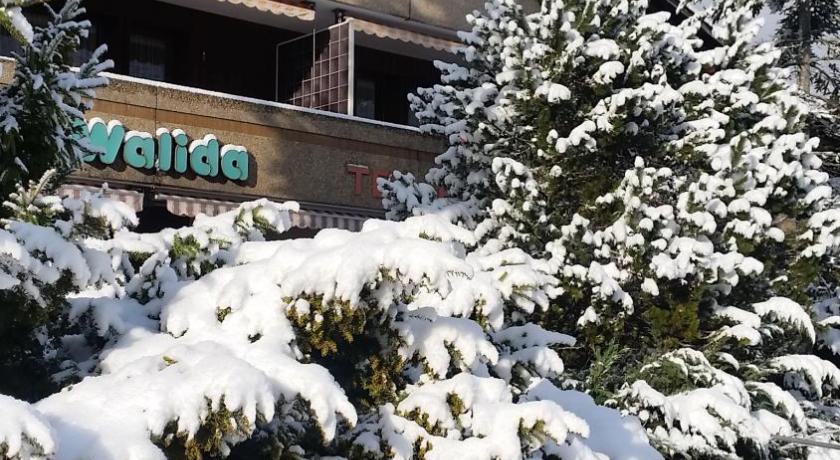 Hotel Walida photo
