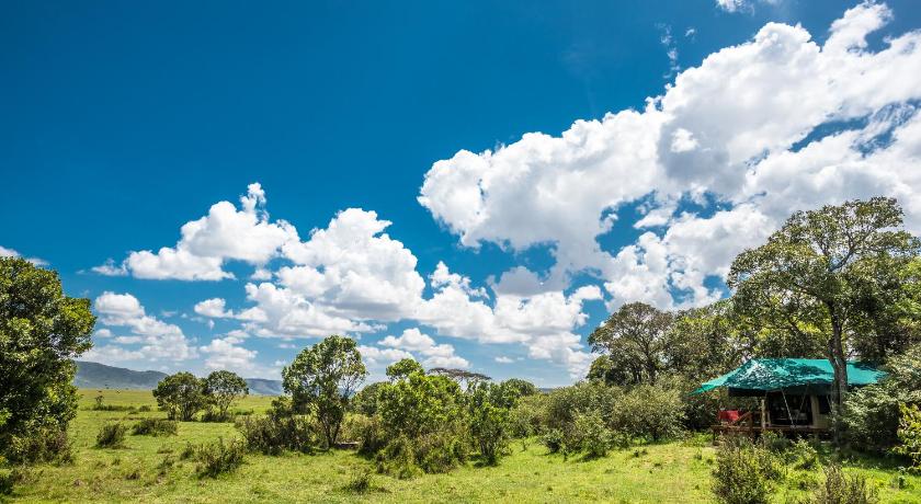 Losokwan Luxury Tented Camp - Maasai Mara photo