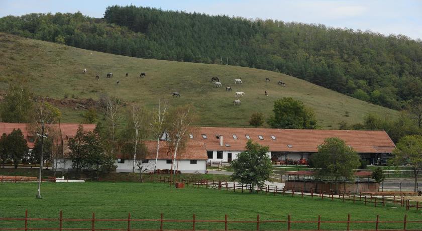 a farmhouse with a horse grazing on the grass, Matyus Udvarhaz in Eger