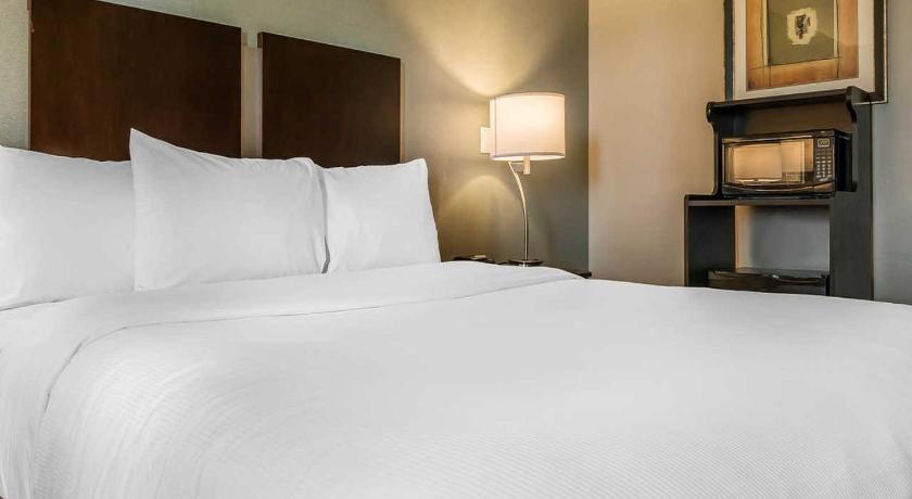 Szállásegység 1 king-méretű ággyal – nemdohányzó (1 King Bed, Nonsmoking) fotója 2