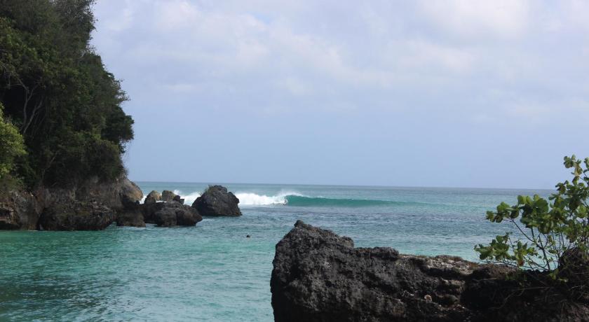 Adi Bali Homestay photo