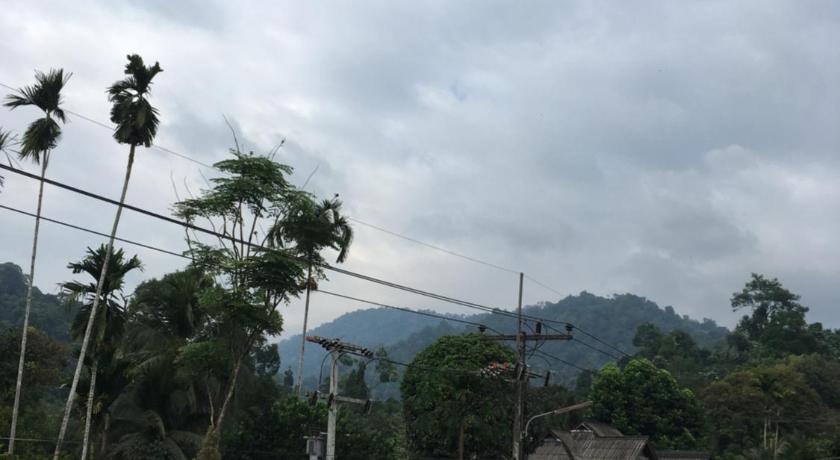 Image of Bed in 8-Bed Mixed Dormitory Room 8