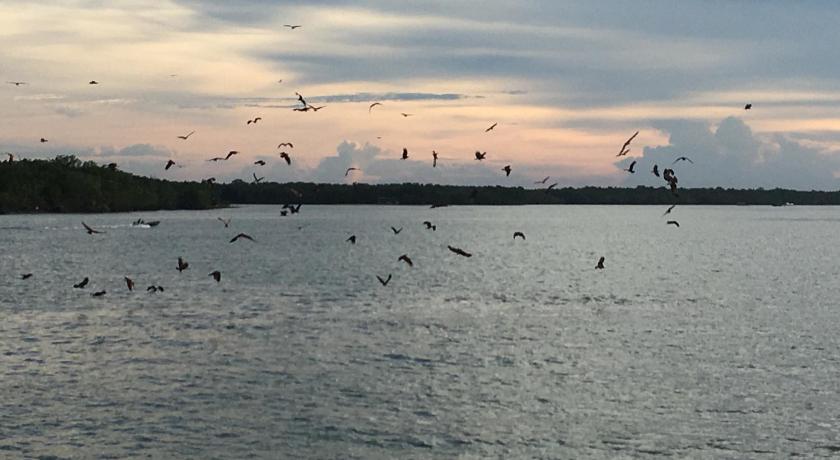 a flock of birds flying over a body of water, Little Happiness Pulau Ketam in Klang