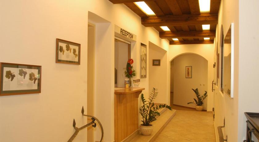 Weingut-Pension Stockingerhof photo