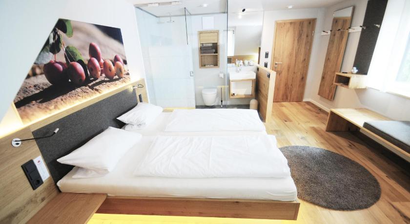 赖歇尔斯博伊伦 Hotel Waldvogel 酒店 景观