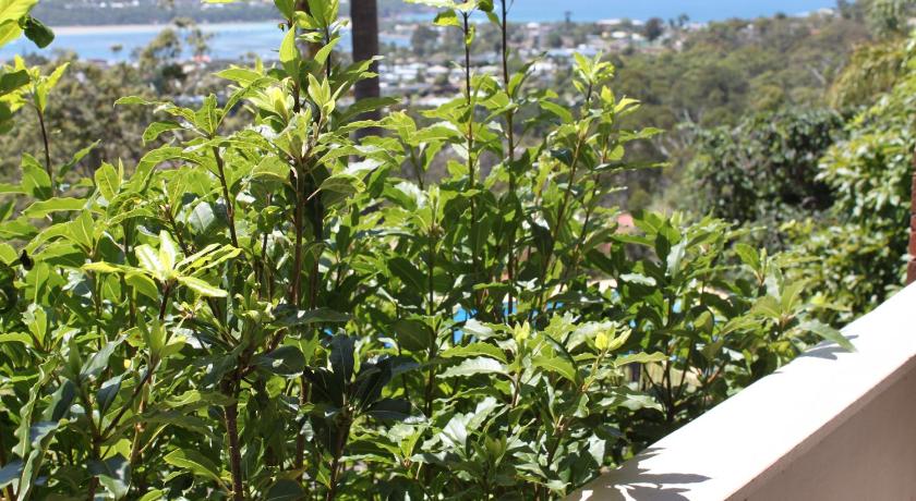 Hillcrest Merimbula Formerly Hillcrest Motor Inn 95 97 - 