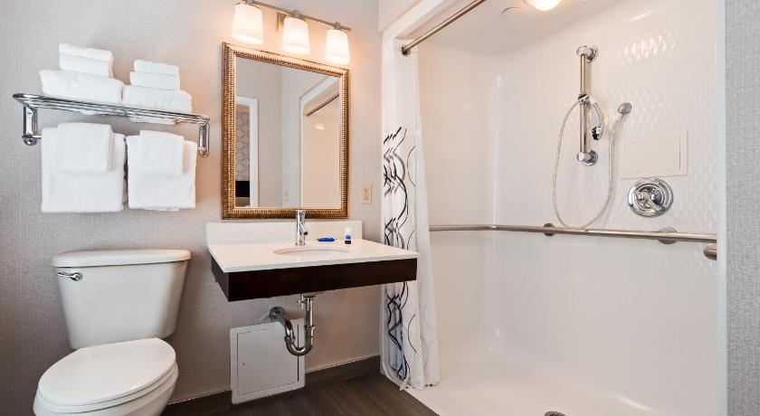 Accessibility - 2 Double, Roll-in Shower, Nonsmoking fotója 4