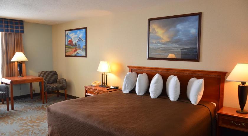 イーストタワス Tawas Bay Beach Resort & Conference Center 3つ星 宿泊施設 プール