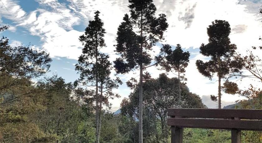 Image of Quadruple Room with Mountain View 6