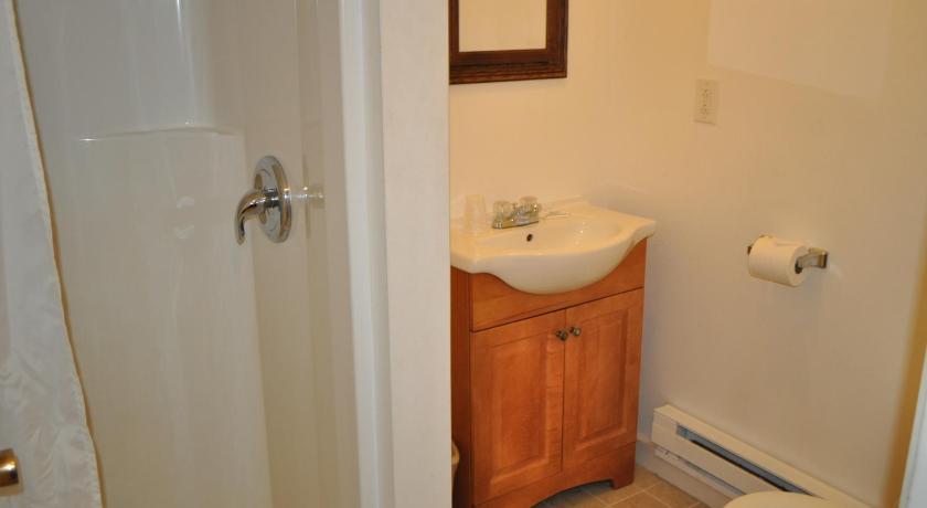 Golden Lion Motel photo