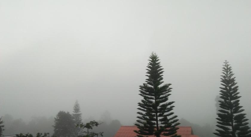 Image of Standard 9