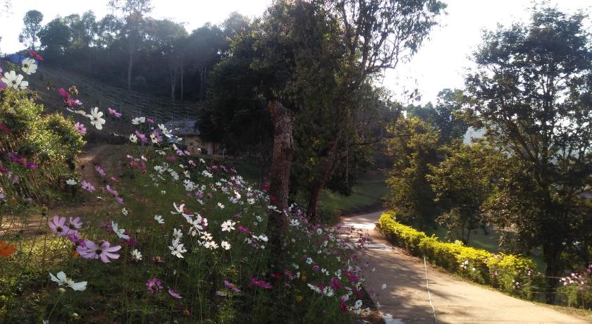 Image of Bungalow with Mountain View 9