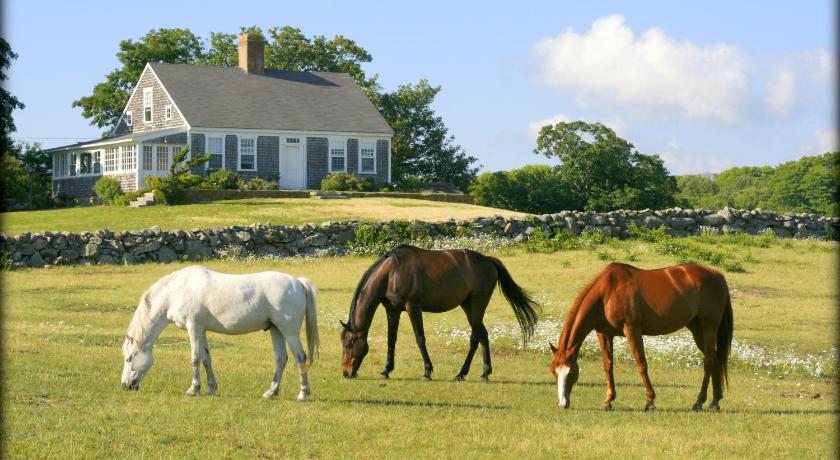 Menemsha Inn Cottages West Tisbury 2019 Reviews Pictures Deals
