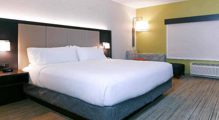 Holiday Inn Express & Suites Tampa East - Ybor City