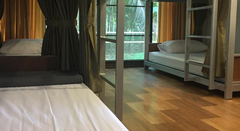 Image of Bunk Bed in Mixed Dormitory Room 1