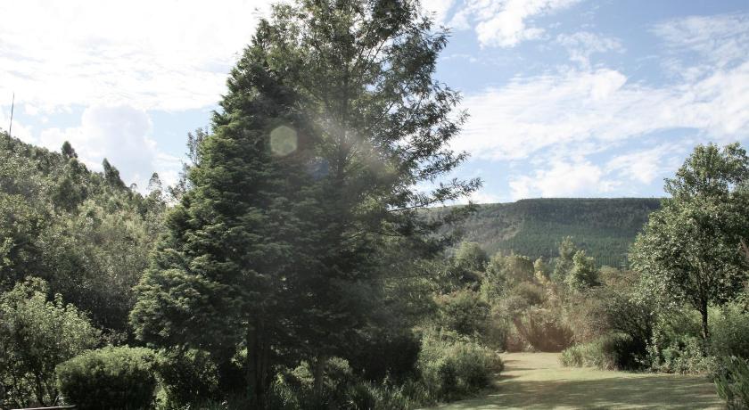 Sabie Star photo