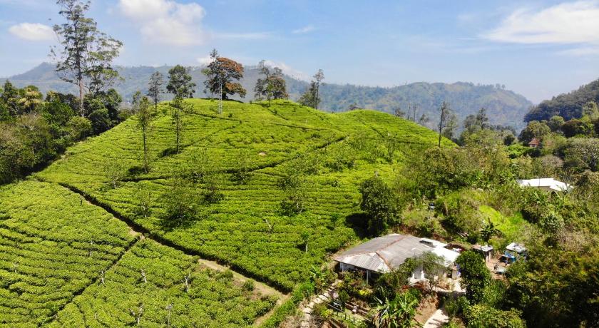 Tunnel Gap Homestay — Hotel in Ella