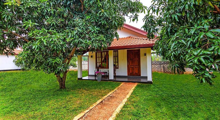 Dambulla Hills Resort photo