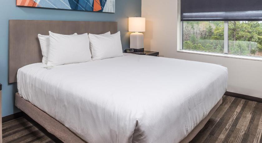 Hyatt House Raleigh/Rdu/Brier Creek