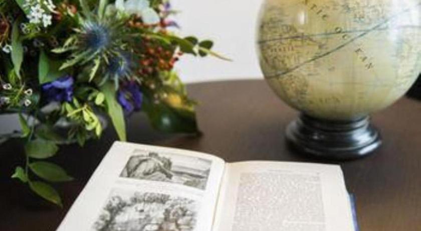 Image of 1 King Premium 6