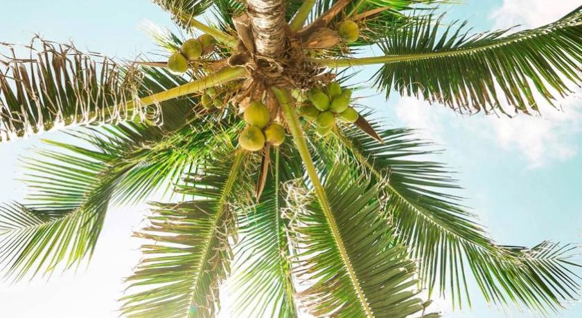 Paradise Island Estate photo