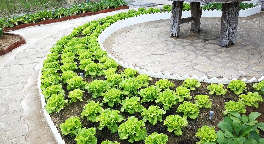 关丹 The Greenery Garden Homestay 3星级 民宿 景观