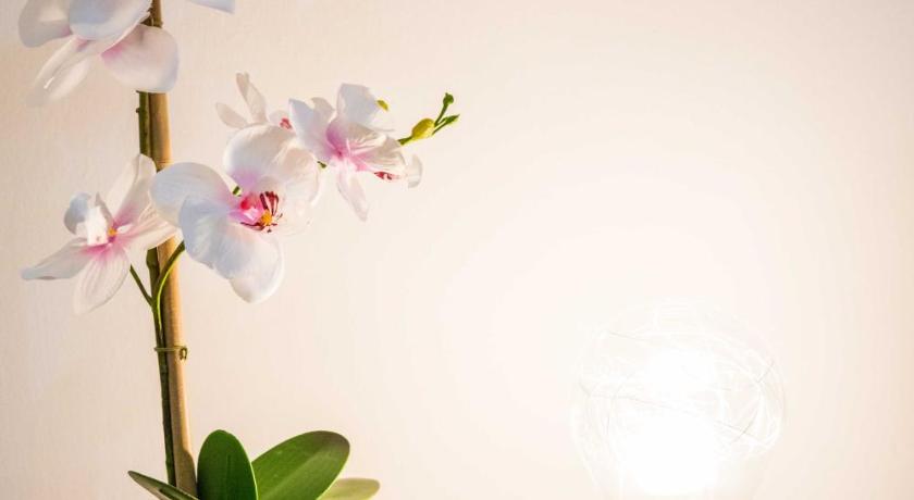 Gabrielli Rooms & Apartments - FIERA photo