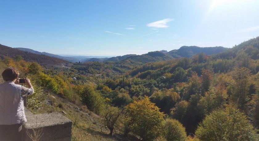 Pensiunea Vila Cerbul photo