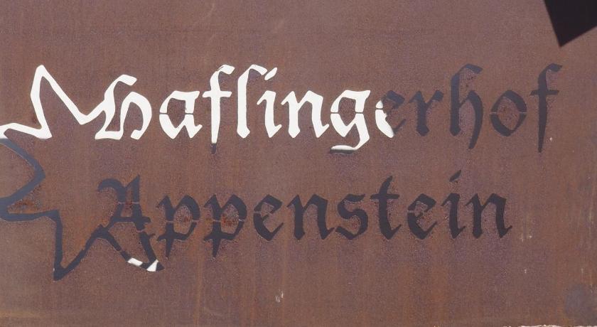 Haflingerhof Appenstein photo