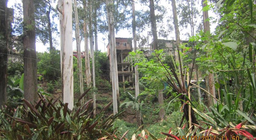 Tree House Holiday Home photo