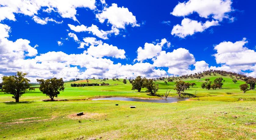 Hillview Farmstay photo
